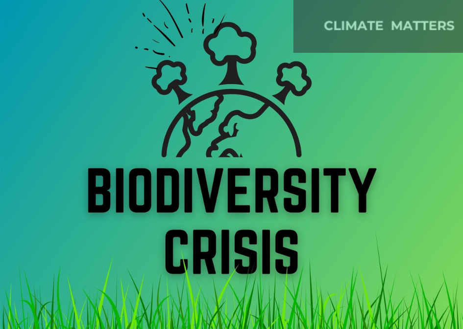 Biodiversity-Crisis
