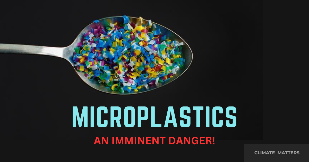 You are currently viewing Microplastics – Are They Harmful?