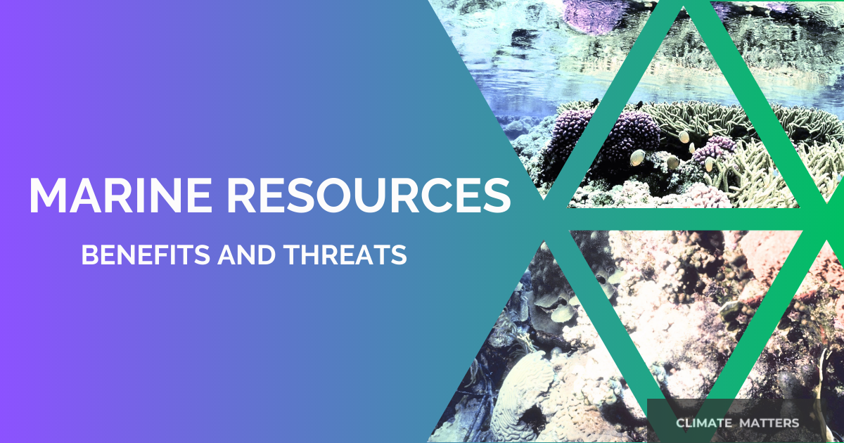 Read more about the article Marine Resources – Benefits and Threats