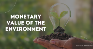 Read more about the article Monetary Value of The Environment