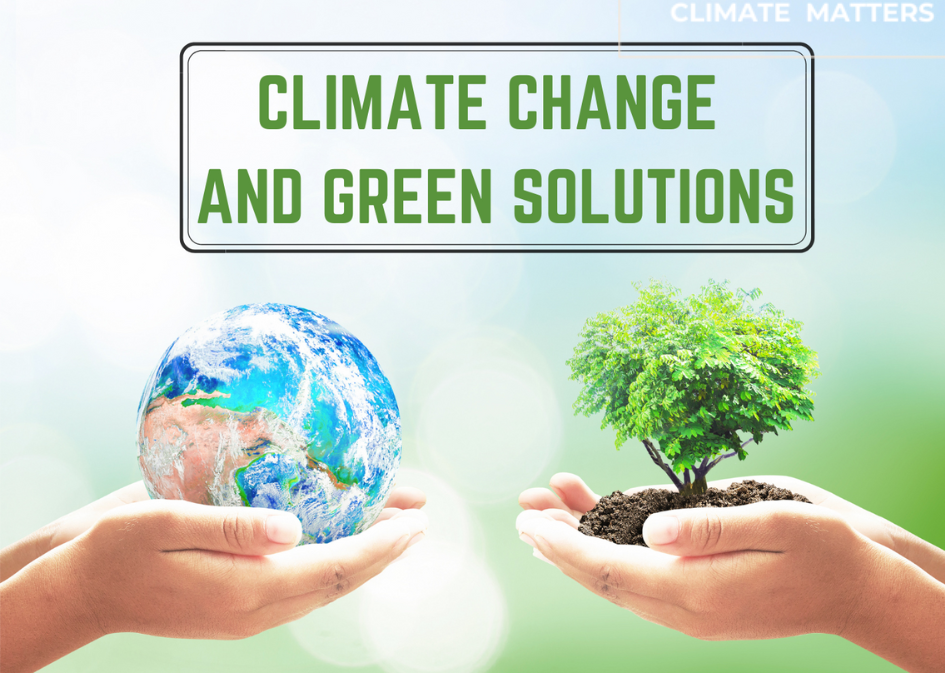 You are currently viewing Top 10 Green Solutions to Combat Climate Change