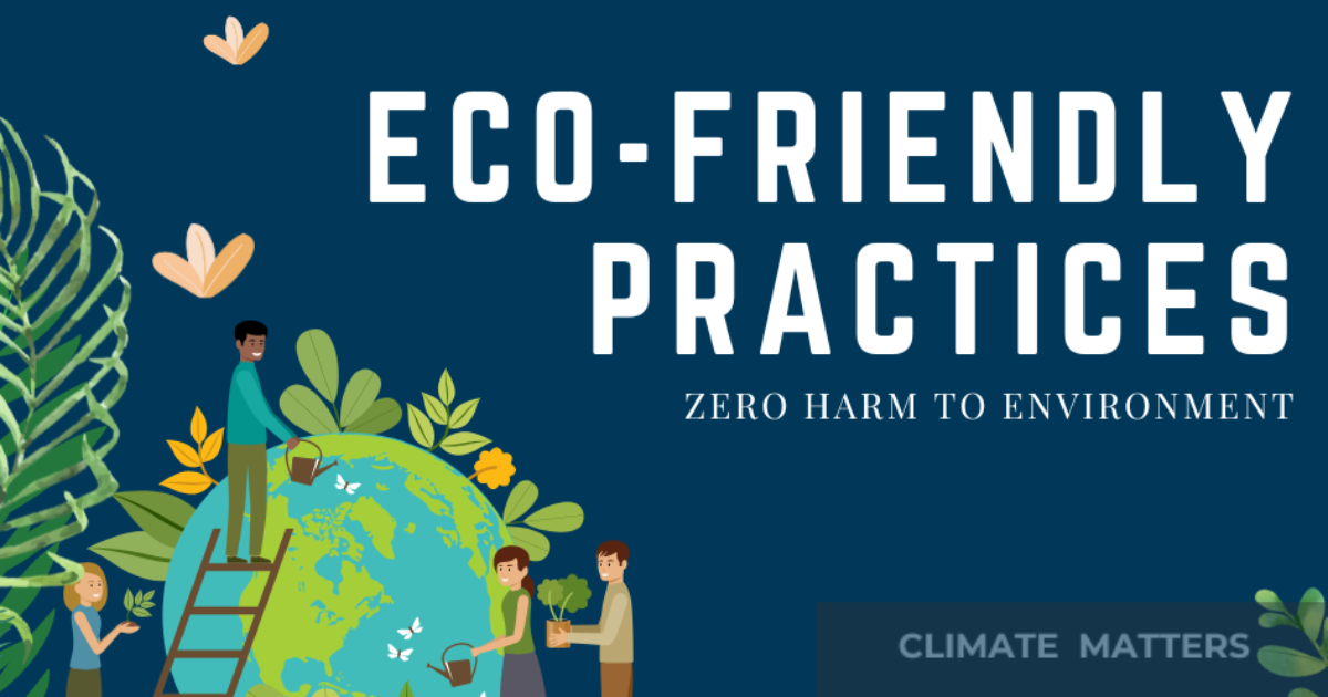 You are currently viewing Top 10 Eco-Friendly Practices – Mind-blowing Sustainability Efforts