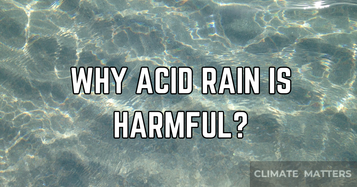 Read more about the article Acid Rain – Why is it Harmful?