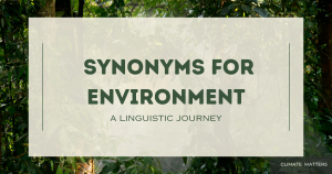 Read more about the article Environment Synonyms – Discovering Nature’s Vocabulary