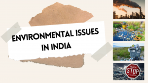 Read more about the article 6 Biggest Environmental Issues in India in 2024
